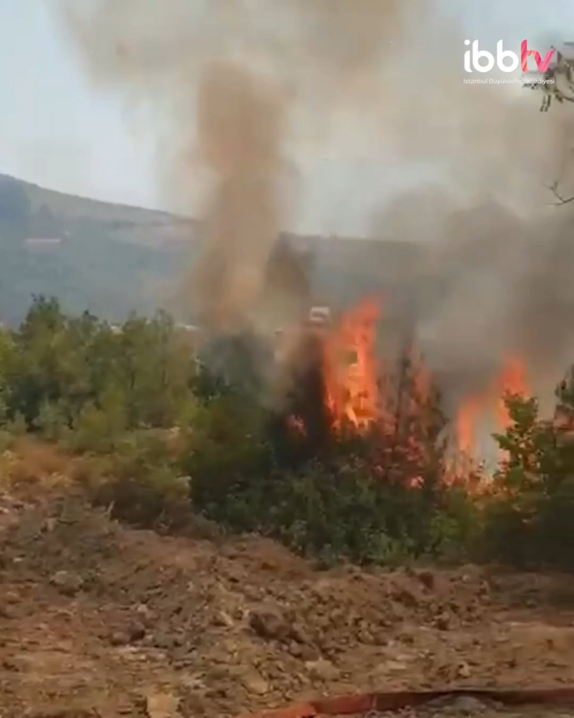 Die Feuerwehr von Istanbul, ISKI und die Assistenzteams am Straßenrand greifen in das Waldbrand in Bursa ein