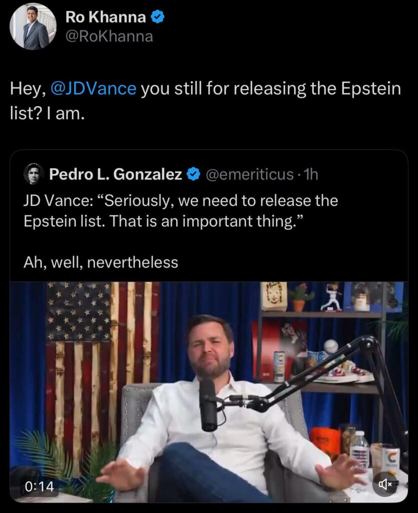 Ro Khanna ruft Jd Vance aus, um die Liste der Epstein -Liste zu veröffentlichen