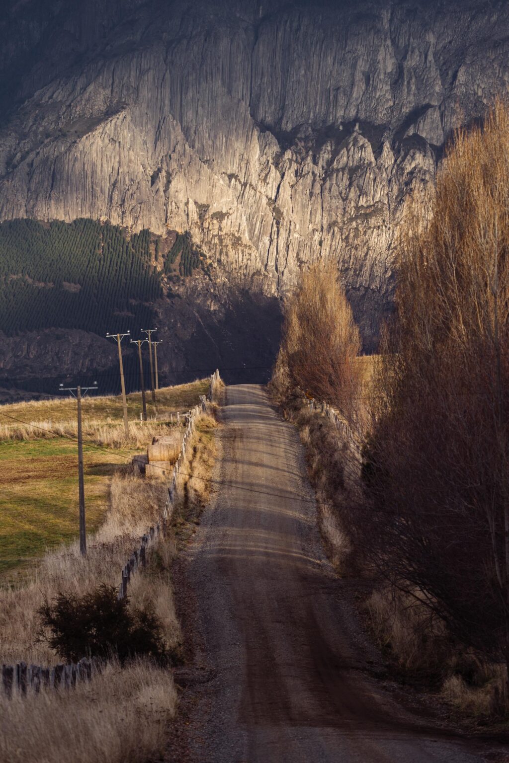 Ich habe diese Straße gestern in der Nähe von Coyhaique, Chile, gefahren