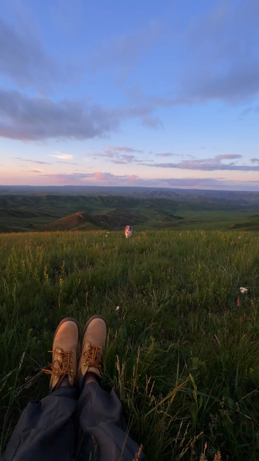 Das Leben ist gut, wenn Sie mit Ihrem Welpen wandern können.