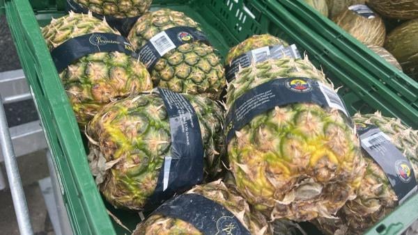 Topless Ananas spart CO2 [Salling fjerner den grønne top pga CO2-besparelse plus toppen plantes som nye ananas]