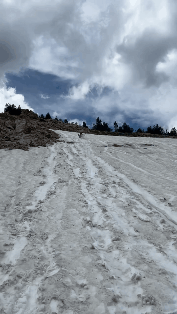 draußen auf dem Teton Crest Trail mit Spaß: D.