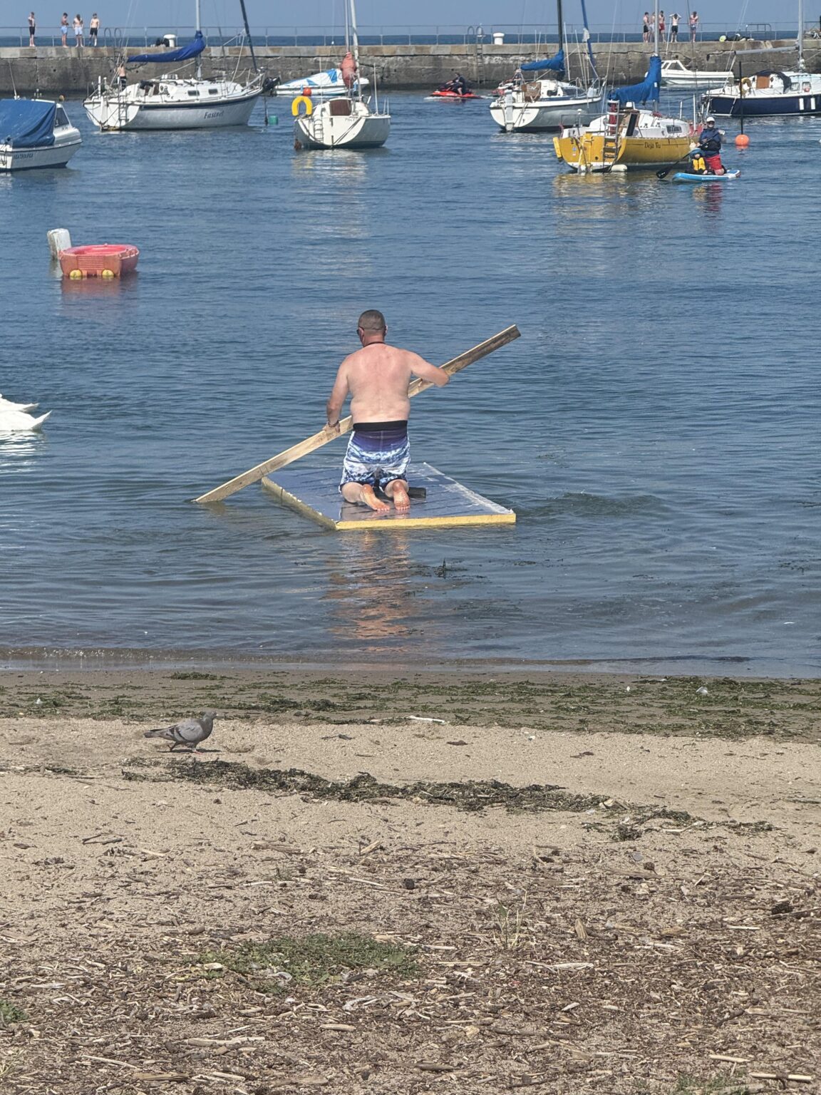 Ich habe gerade einen Mann mittleren Alters mit einem 2x4-Board über Bray Harbour über einen Isolationsbrett über Bray Harbor beobachtet