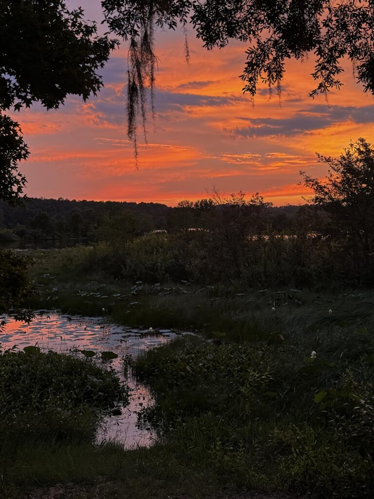 Ich habe letzte Nacht während meines Spaziergangs einen erstaunlichen Sonnenuntergang gesehen