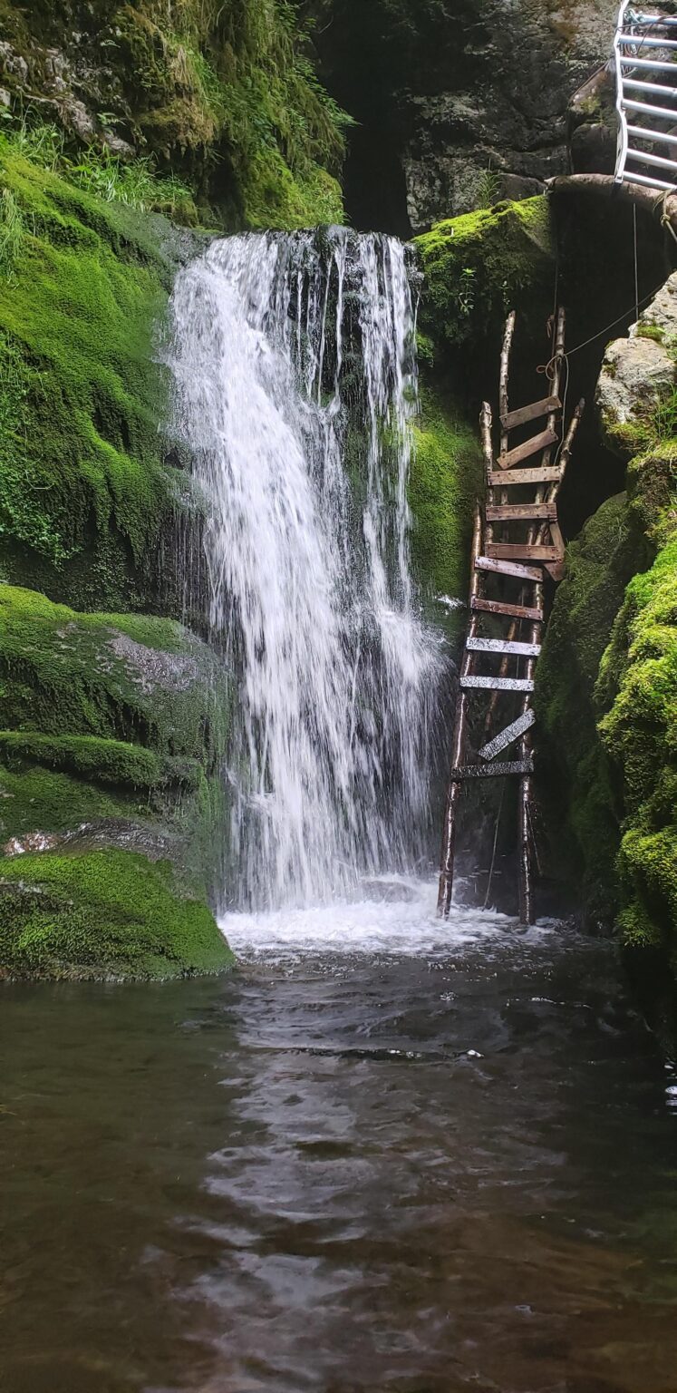 Jagdwasserfälle (Nova Scotia, Kanada)