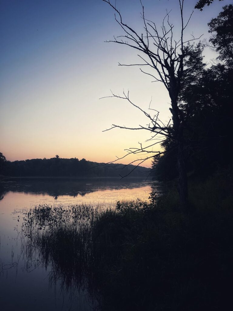 Sommer Sonnenaufgangswanderungen sind mein absoluter Favorit, 15 km mit einigen ordentlichen Begegnungen mit Wildtieren