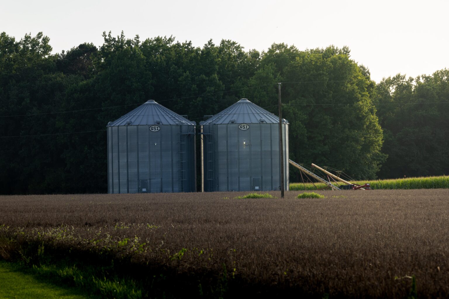 Unten auf der Farm