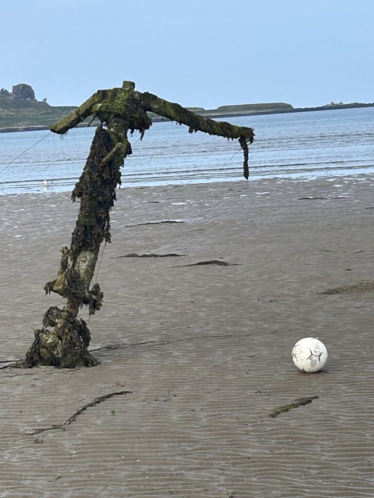 Ungewöhnliche Gegenstände am Howth Beach Ungewöhnliche Gegenstände am Howth Beach
