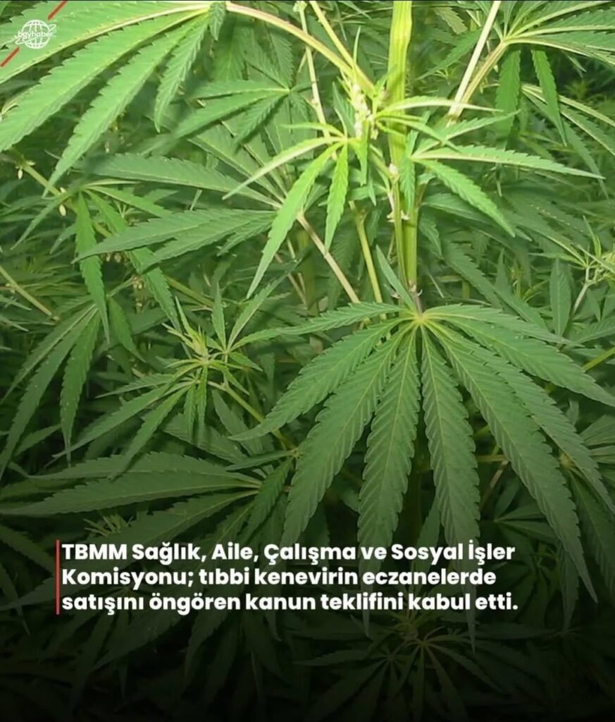 Das Parlament akzeptierte das Cannabisgesetz