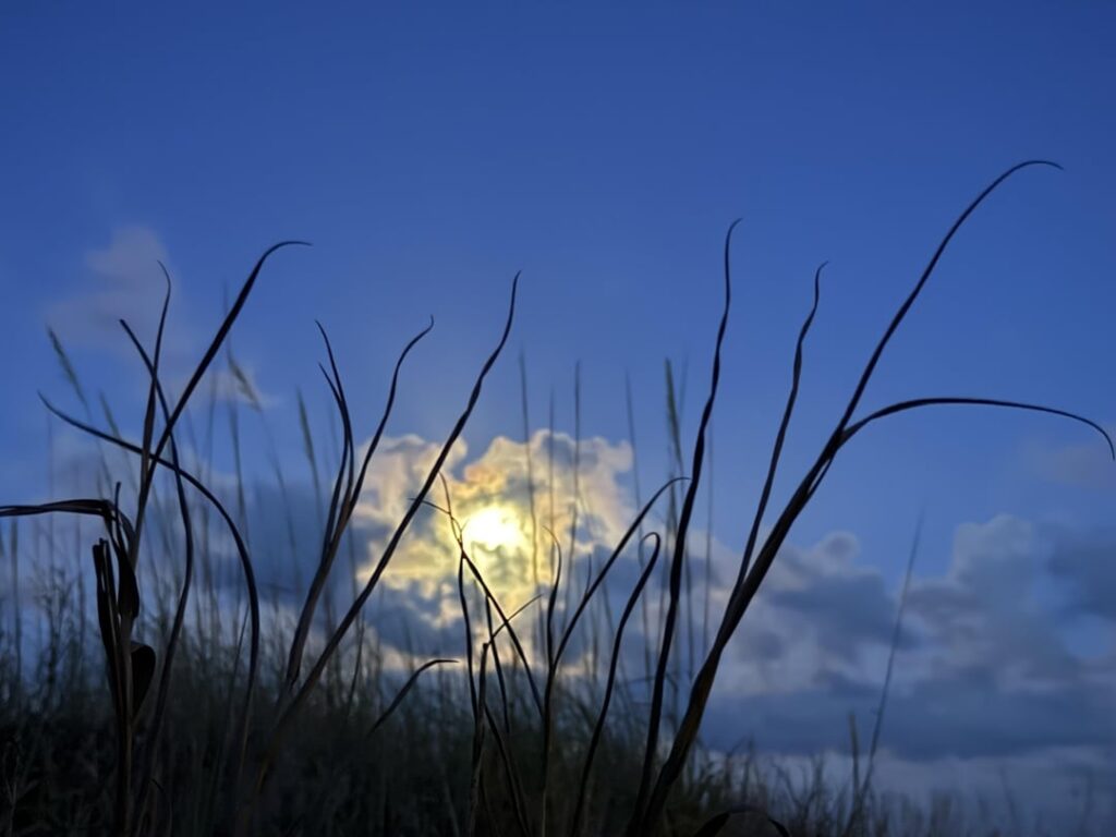Der Mond über den Dünen.