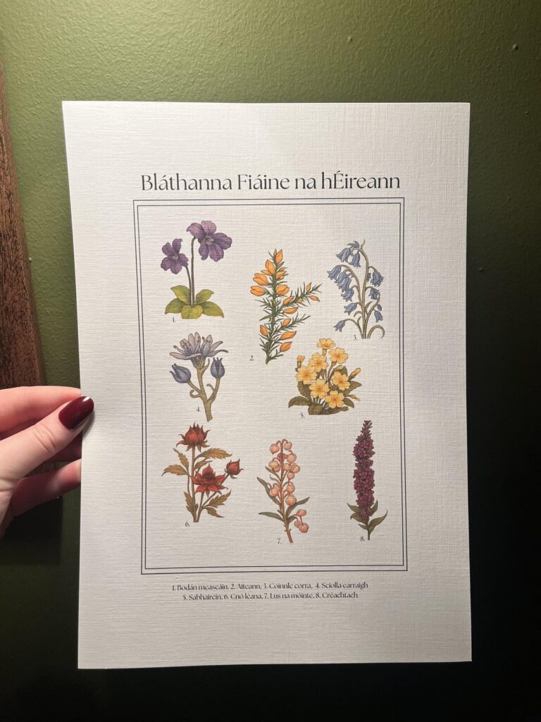 Wildblumen der Irland -Print Irish Version