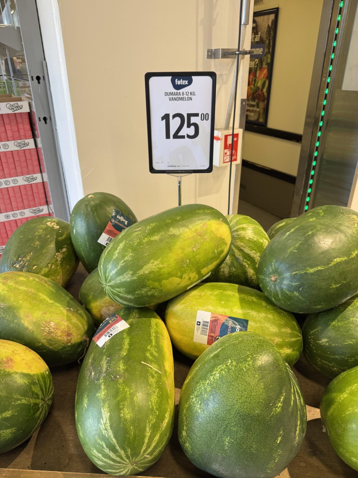 CEO Watermelon
