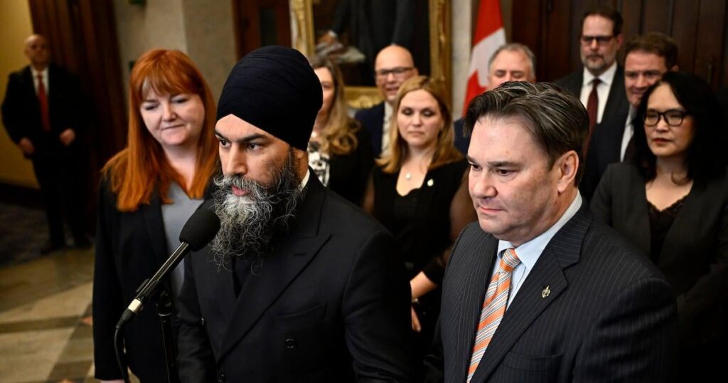 NDP Start 2025 Kampagnenüberprüfung, bevor das Führungsrennen ausgelöst wird