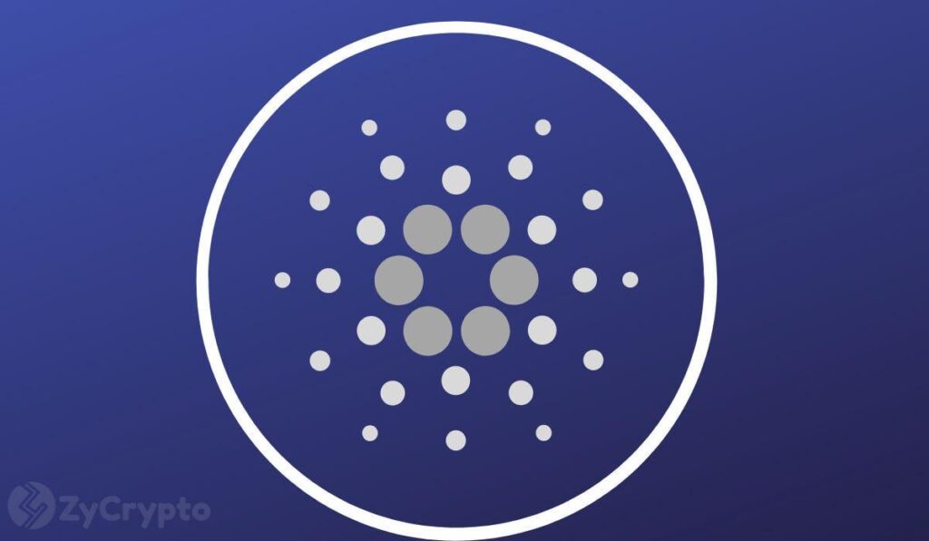 ADA bis $ 1? - Cardano Rockets 15% in 24 Stunden, dominiert den Markt mit 1,72 Milliarden US -Dollar Volumen