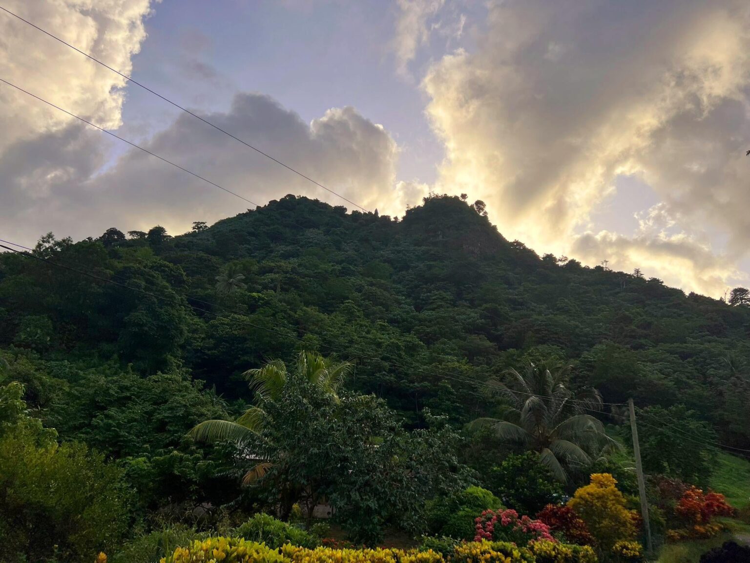 Nur ein Foto, das ich letztes Jahr in Dominica aufgenommen habe