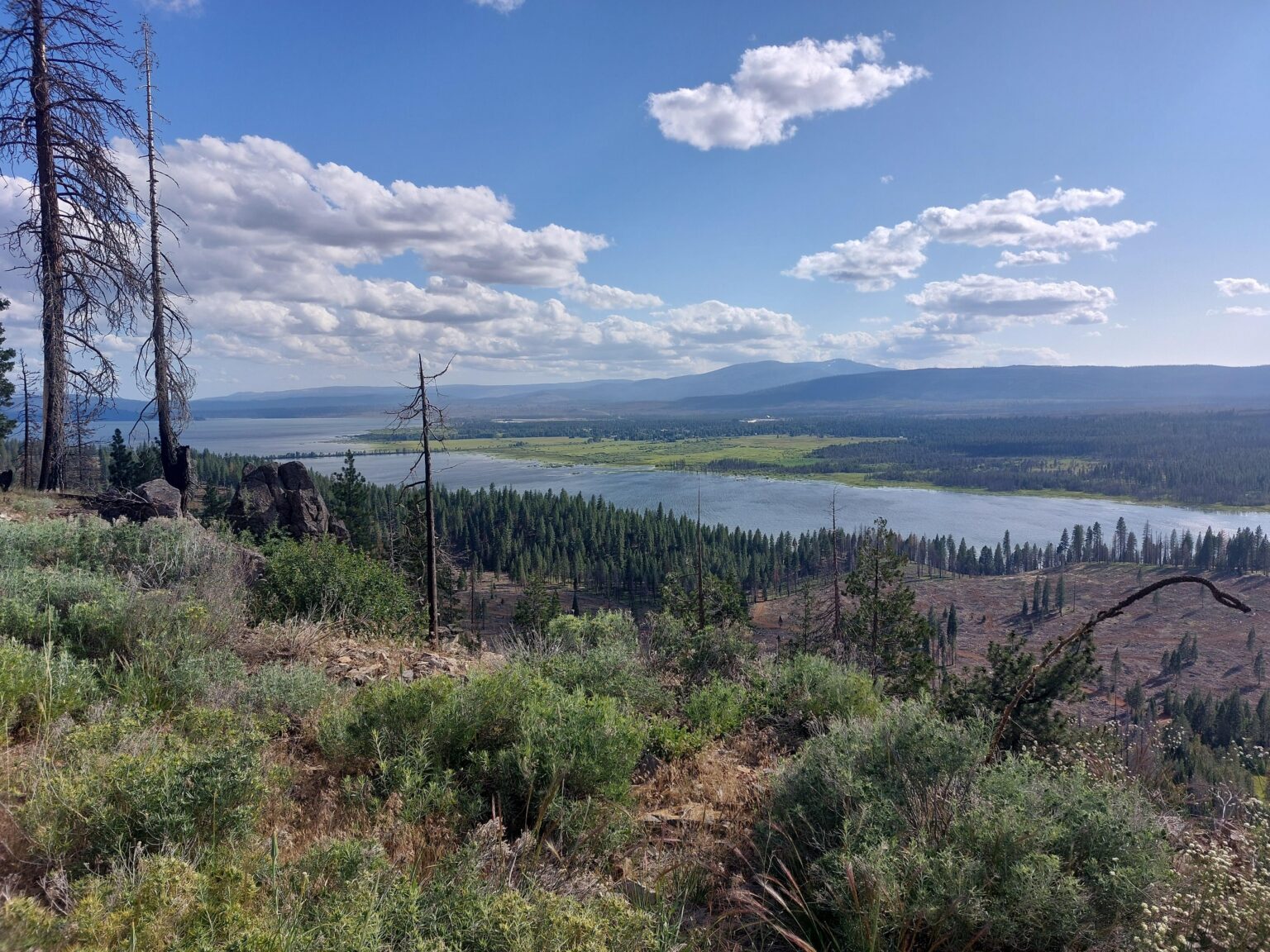 Von den Hügeln im Nordosten des Lake Almanor, ca. – Wildeess. Juni 2025. Von den Hügeln im Nordosten des Lake Almanor, ca. - Wildeess. Juni 2025.