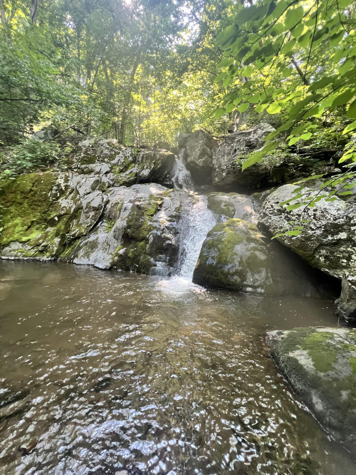 Irgendwo in den Shenandoah -Bergen
