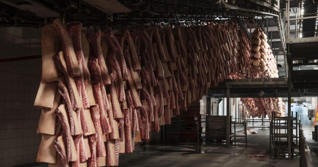 Forscher sollten ihr Projekt "essbar für den Beruf" machen, um auf Daten zum Tierschutz zuzugreifen