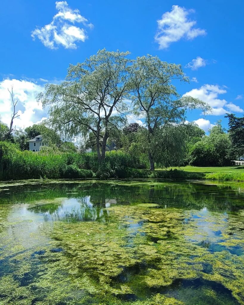 Teich in Plymouth, MA