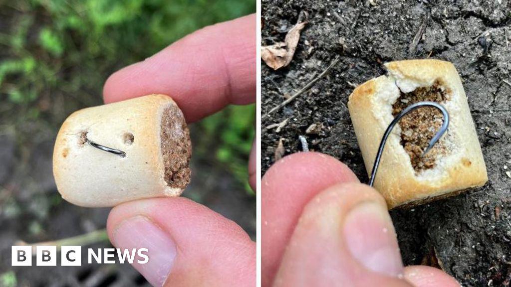 Hundebehörden, die mit Fischhooks im Park gefunden wurden