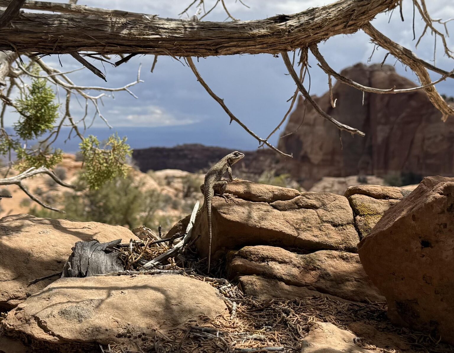 Canyonlands, UT, USA