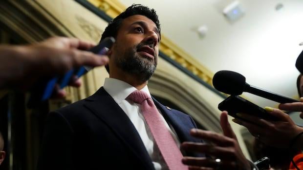 Kanada will neue Handelspartner. Aber Märkte wie Indien und China haben große Hindernisse | CBC News