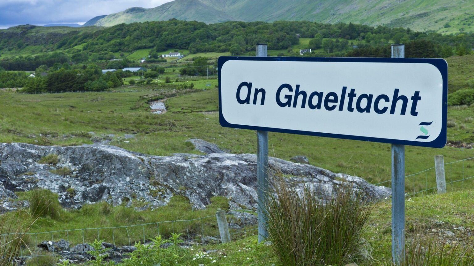 Minister bat darum, obligatorische Gaeltacht -Kurse in Betracht zu ziehen