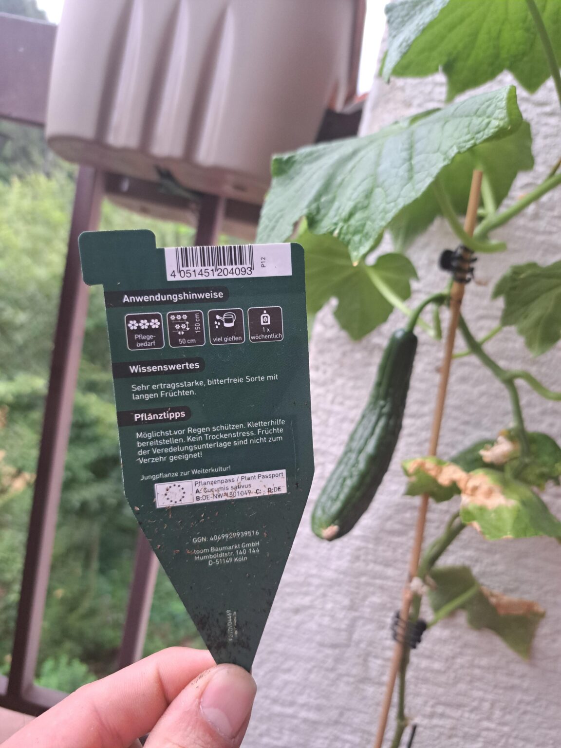 Kann ich die jetzt essen oder nicht?