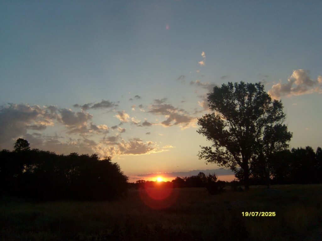 Ein weiterer Sonnenuntergang an den Feldern in der Nähe des Baches. Irgendwo in Bulgarien.