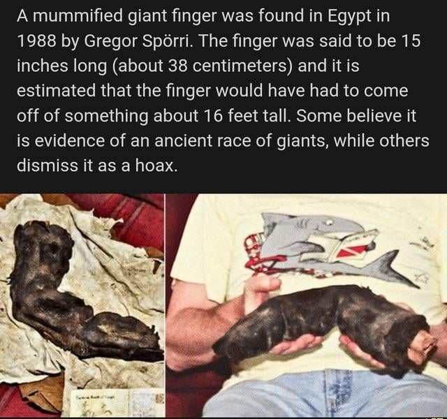 Riesenfinger in Ägypten 1988 gefunden
