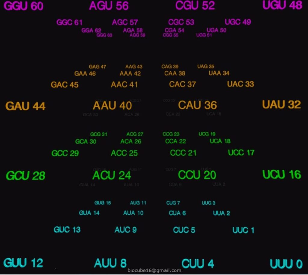 Der als 4 × 4 × 4 -Würfel organisierte genetische Code zeigt eine versteckte mathematische Schönheit Der als 4 × 4 × 4 -Würfel organisierte genetische Code zeigt eine versteckte mathematische Schönheit