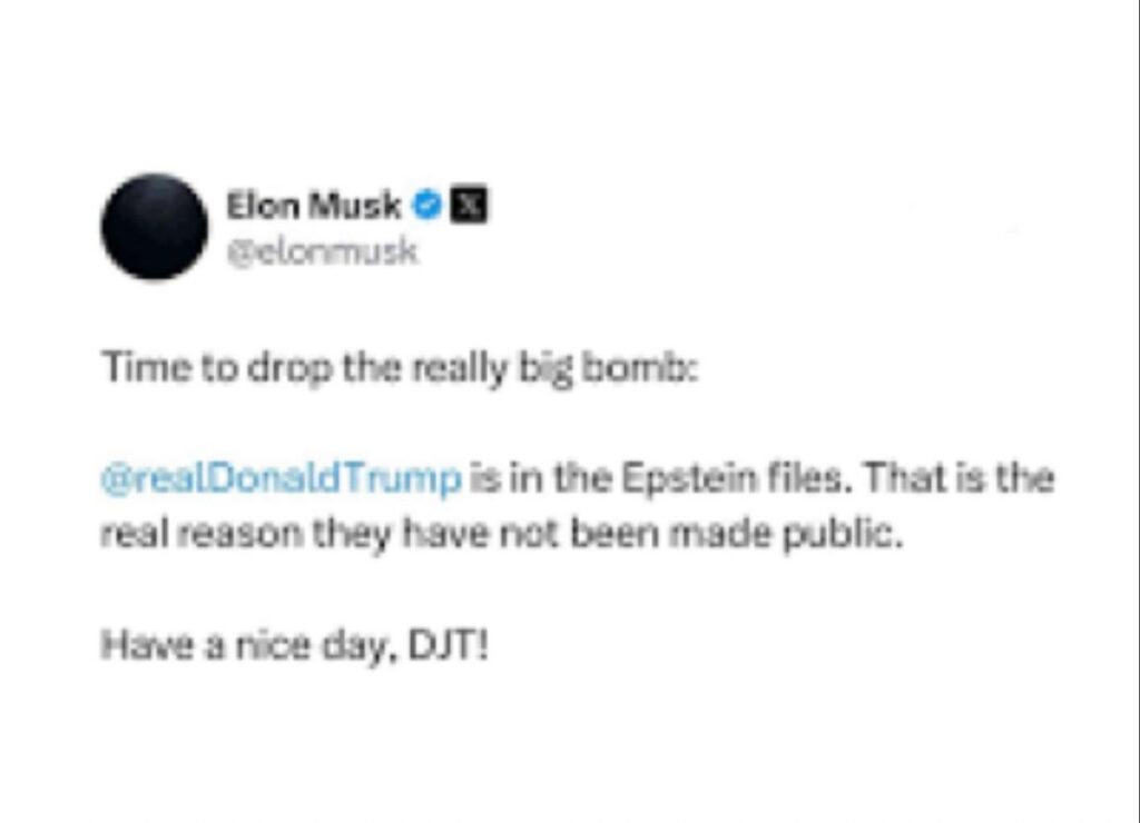 Elon hat dieses Feuer begonnen und er lacht den ganzen Weg zur Bank