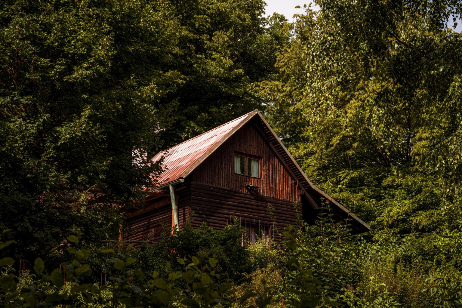 Hütte im Wald (Tschechische Republik)