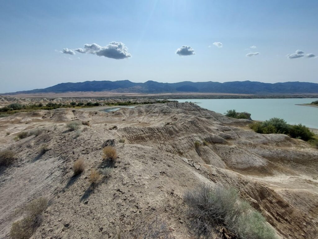 Rye Patch Reservoir, NV - Juni 2025 - Ich ging einen kurzen morgendlichen Spaziergang entlang des Stausees entlang und merkte nicht, dass man für viele Meilen weitermachen könnte. Ich drehte mich nach 4 von ihnen um.