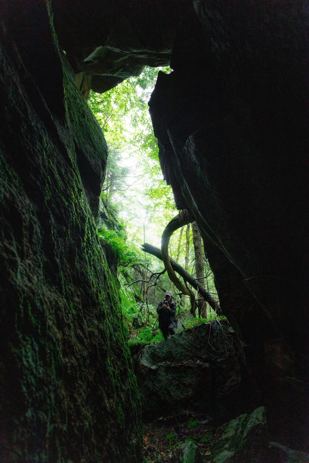 Großer alter Spalt, Offtrail -Wandern in NEPA, USA.