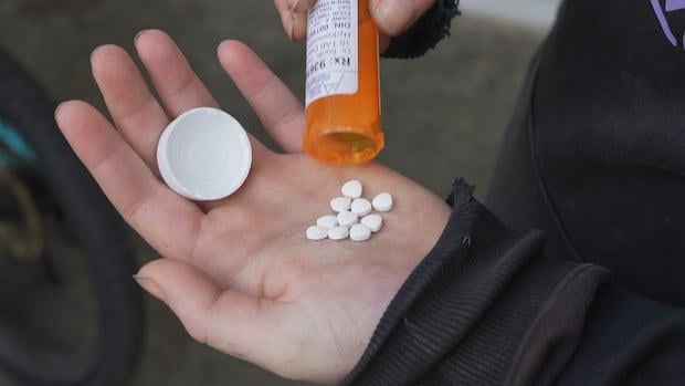 "Keine Pläne", sicherere Angebotsfinanzierungen zu verlängern, nachdem die Unterstützung des Bundes leise abgelaufen ist | CBC News