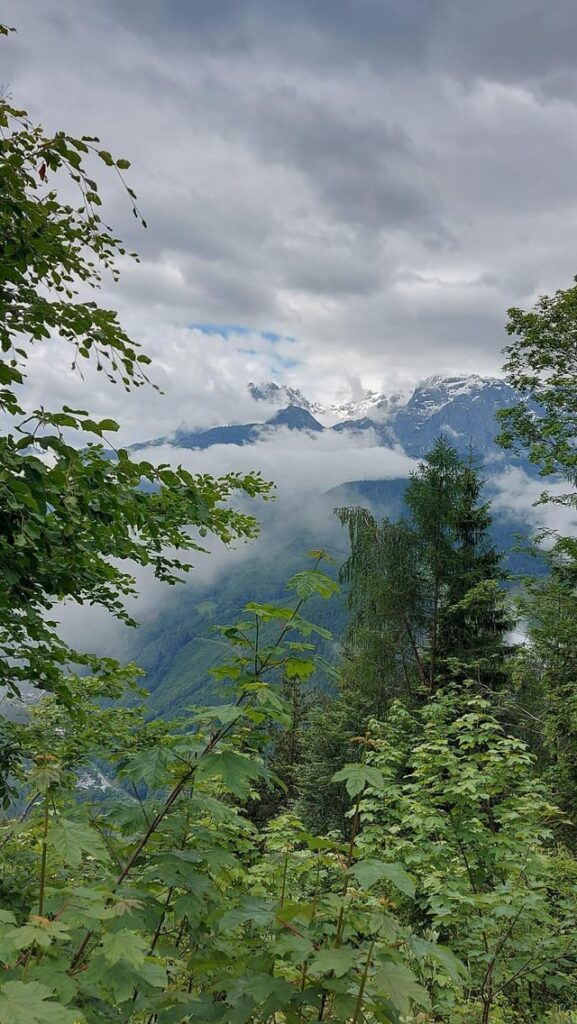 Majestätische österreichische Alpen [OC]