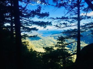 Acht Jahre in einer Hütte im Wald :)