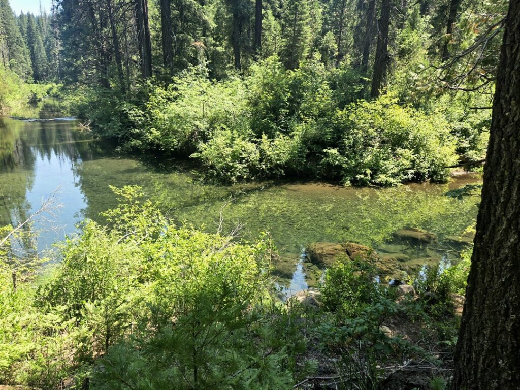 Camping entlang des Flusses in McCloud, CA