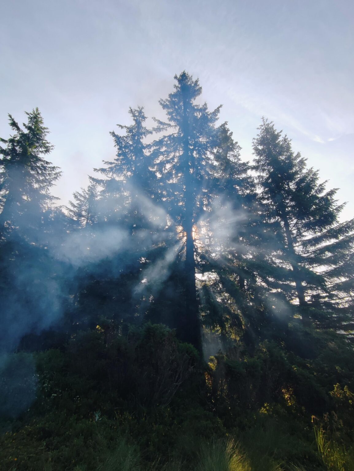 Lagerfeuer und Morgensonne