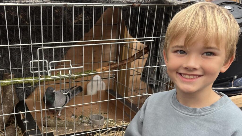 Seven -Year -old William gibt den irreführenden Brief Taubenschutz: "Mein Traum ist es, einen Vogel zu bekommen"