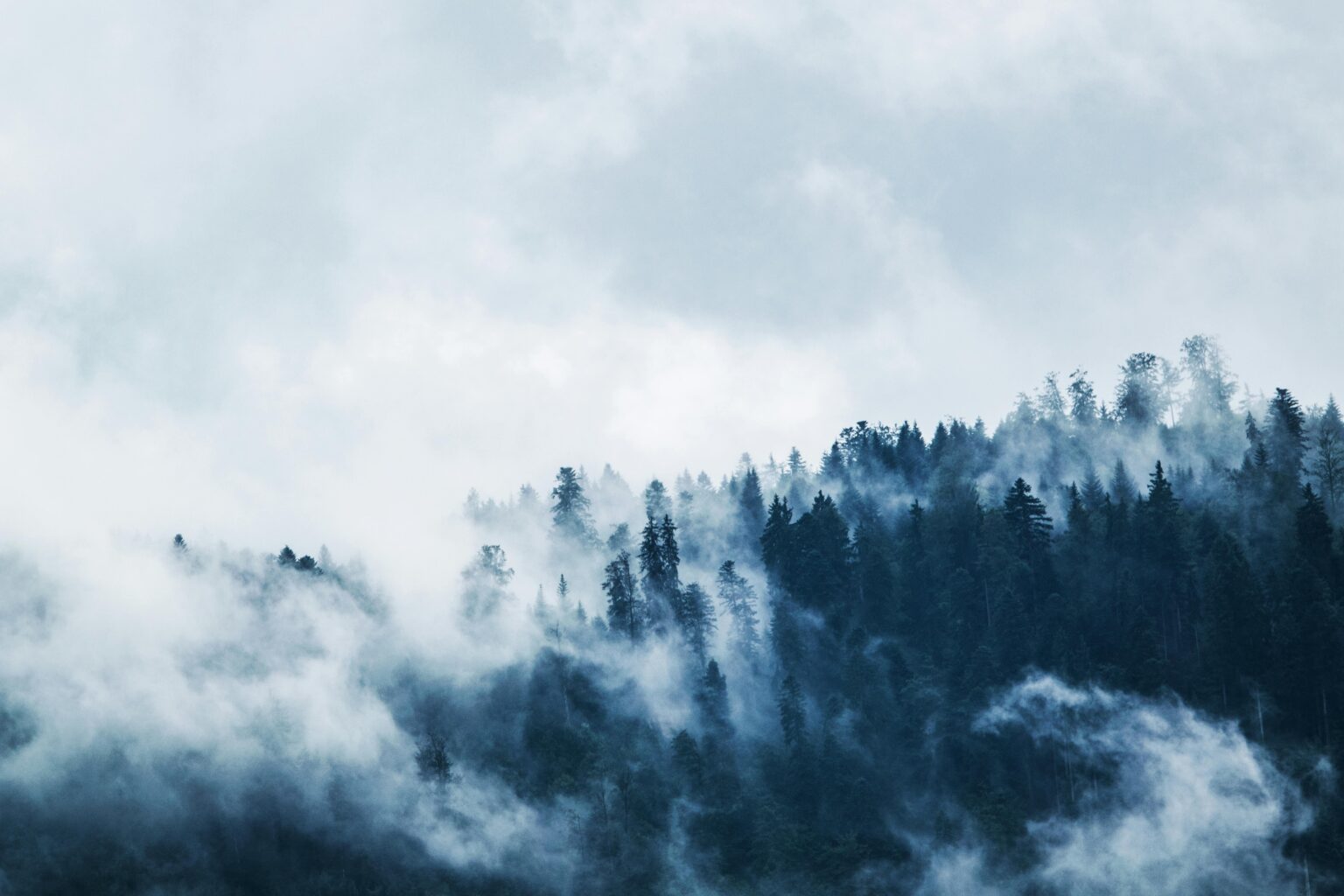 Die Berge verstecken Geheimnisse in ihren nebligen Schleiern