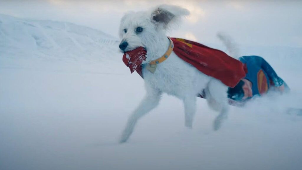 James Gunns "Superman" führt dank Krypto zu einem Anstieg des Interesses der Hundeadoption zu mehr als 500%.