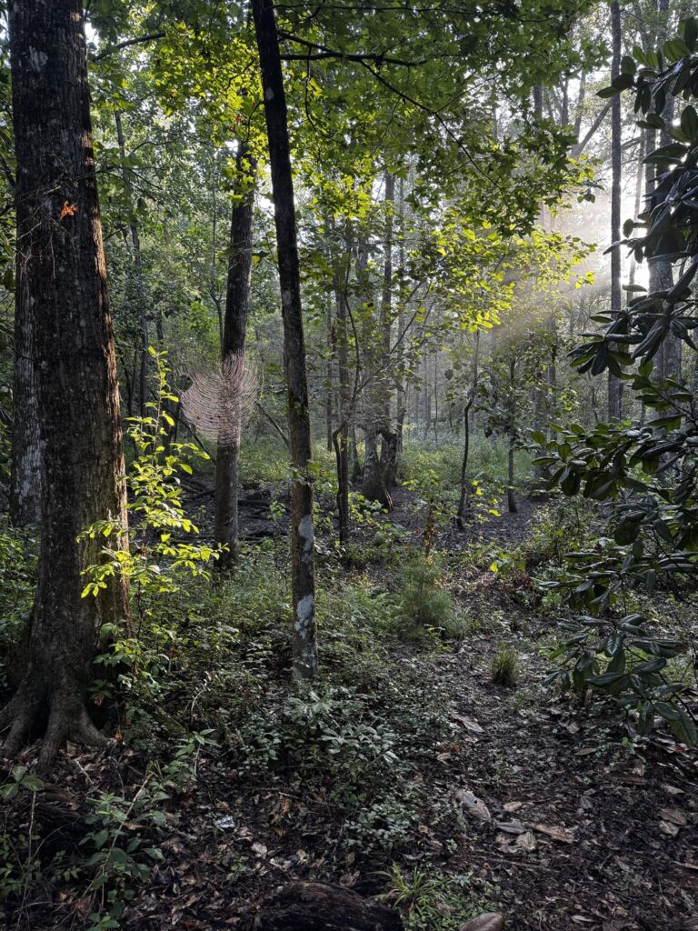 Perfektes Licht, um den Tag zu beginnen. Perfektes Licht, um den Tag zu beenden