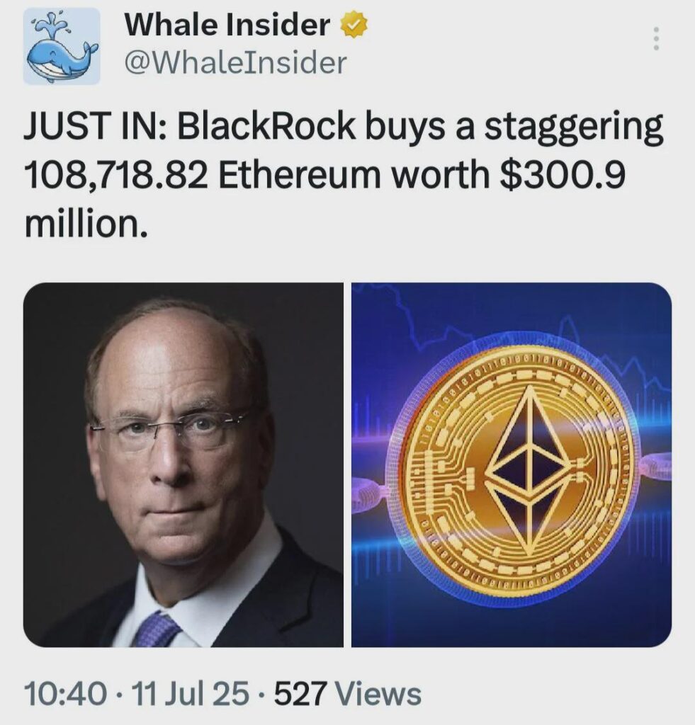 BlackRock kaufte 108.718 ETH im Wert BlackRock kaufte 108.718 ETH im Wert