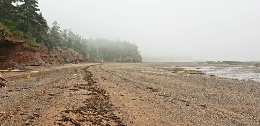 Fundy Coast, Nova Scotia, Kanada