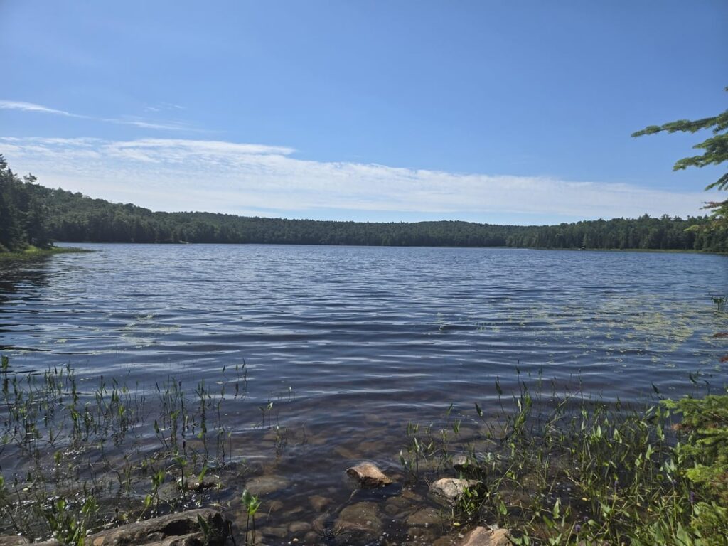 Meine kurze Wanderung zum Sand Lake im Ferris Lake Wild Forest in NY