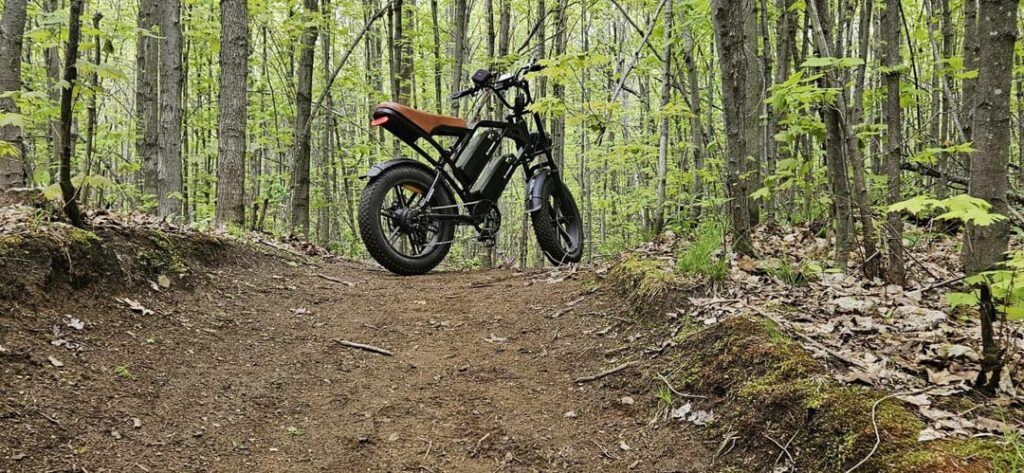Wald Cychunter Ride + Fireside Chill mit meinem Bruder, es ist viel zu lang gewesen