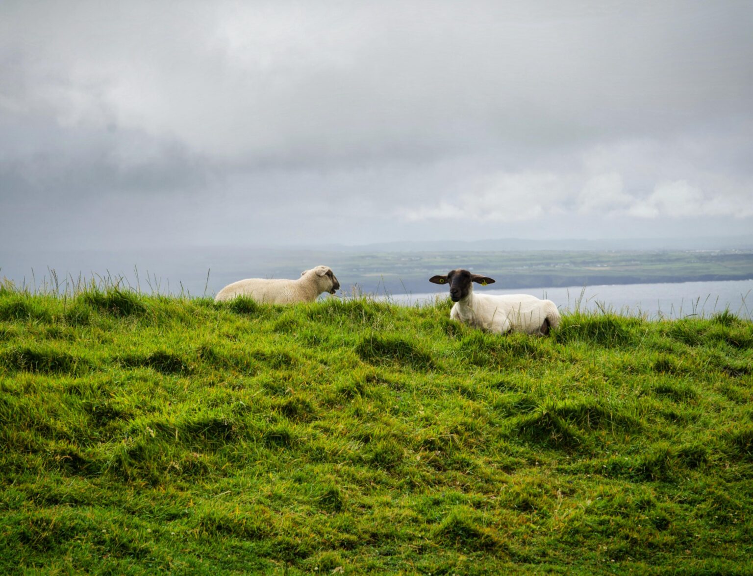 Klippen von Moher, Irland