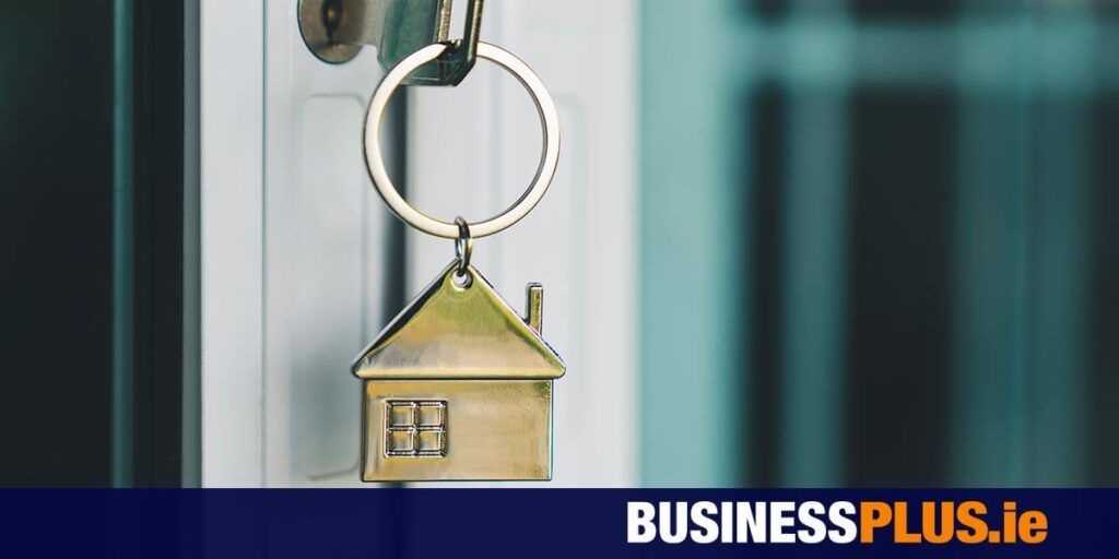 Das Residential Tenancies Board hat 8 Mitarbeiter, um 8.000 Vermieter von Schurken zu finden